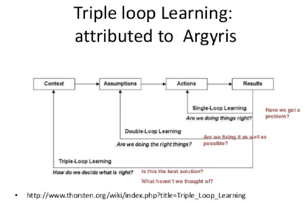 Example organisation loop single learning Organizational Learning